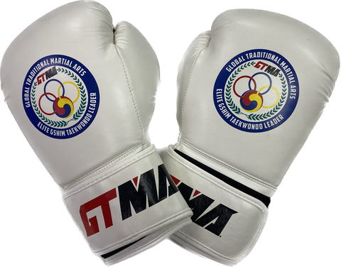 Olympic Camp Boxing Gloves